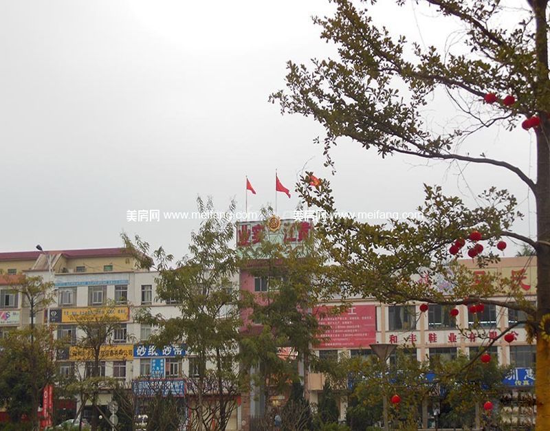 中骏四季阳光实景图