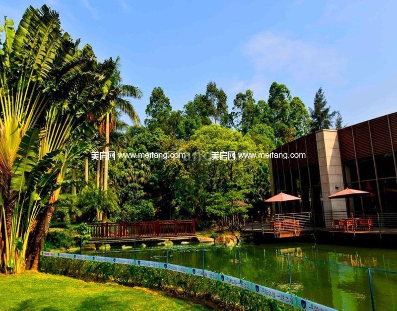 银湖山庄小区实景图