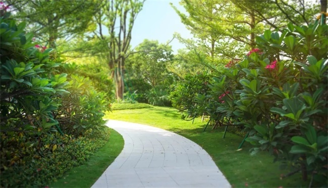 5.jpg?x-oss-process=style/web_png_style