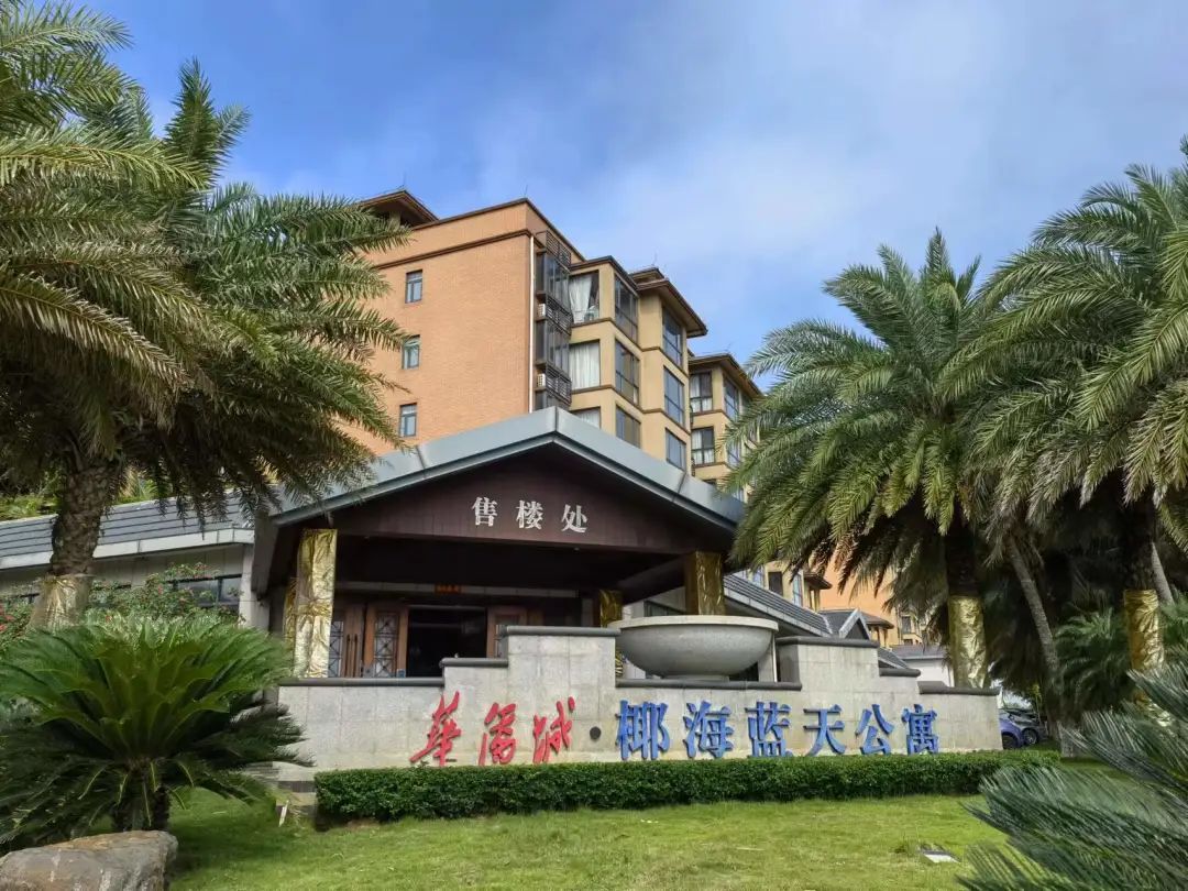 华侨城椰海蓝天实景图 华侨城椰海蓝天实景图