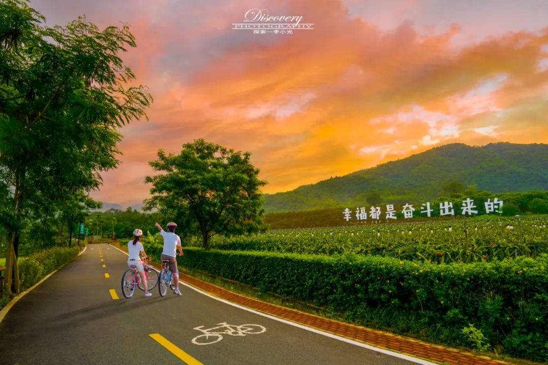 【海南作品专辑】第7期《美丽乡村》 【海南作品专辑】第7期《美丽乡村》