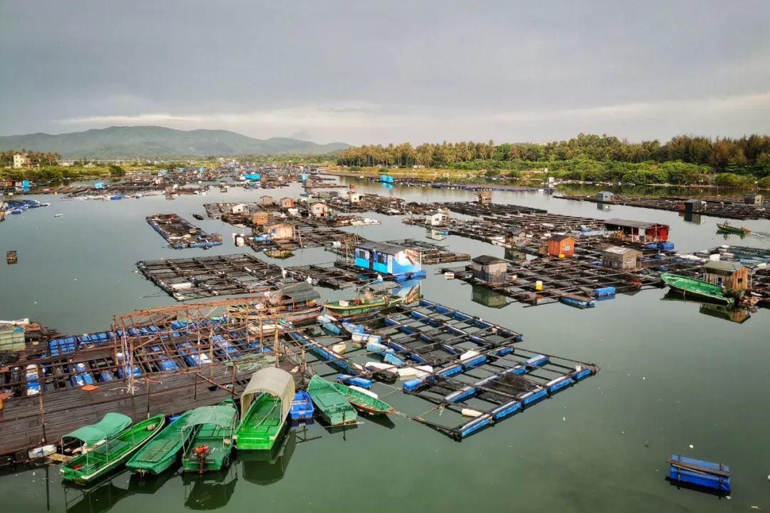 【海南作品专辑】第7期《美丽乡村》 【海南作品专辑】第7期《美丽乡村》