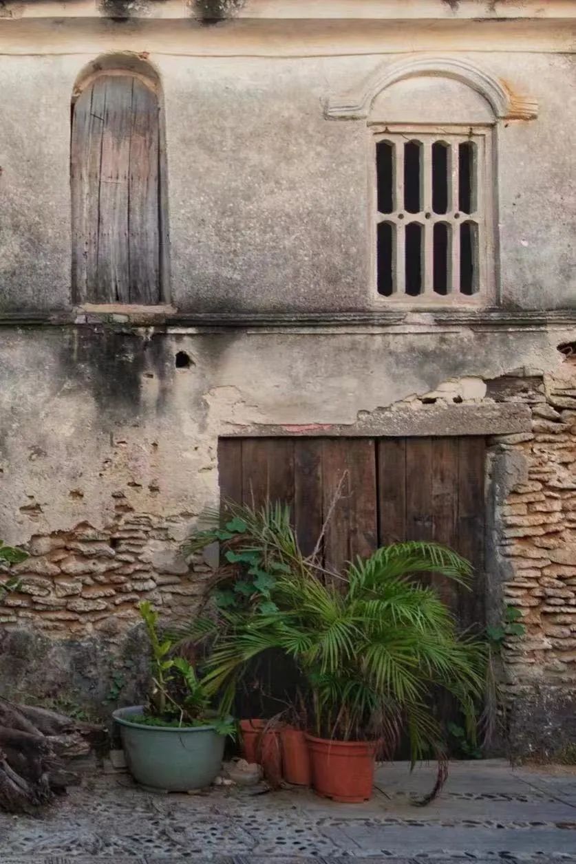 【海南作品专辑】第7期《美丽乡村》 【海南作品专辑】第7期《美丽乡村》