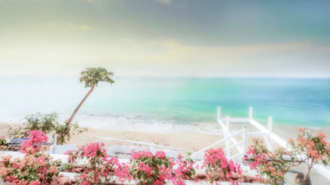 【海南作品专辑】第7期《美丽乡村》 【海南作品专辑】第7期《美丽乡村》