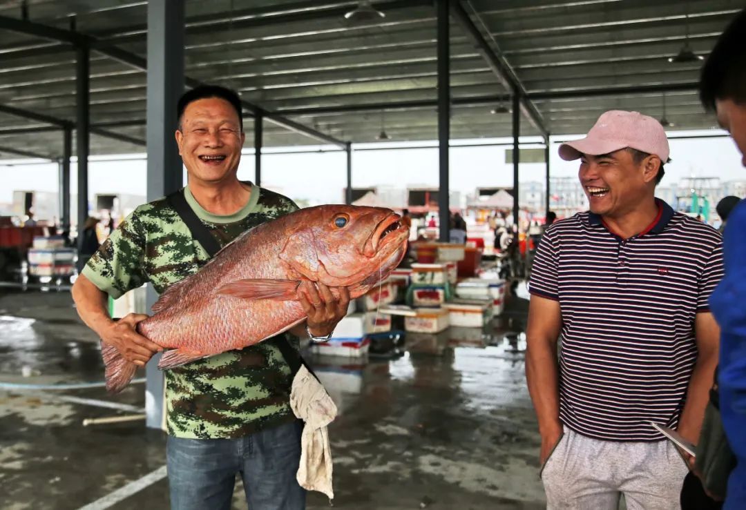 收获的喜悦 收获的喜悦
