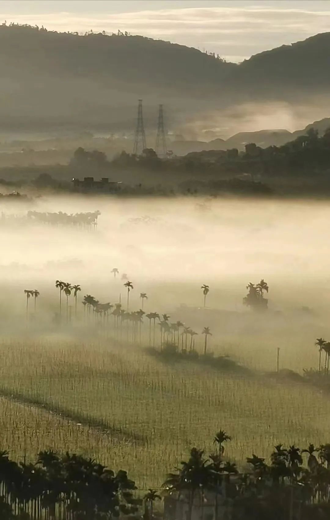 【海南作品专辑】第7期《美丽乡村》 【海南作品专辑】第7期《美丽乡村》