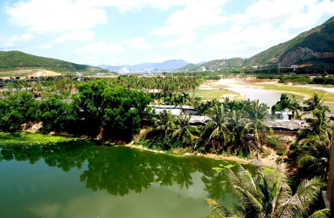 【海南作品专辑】第7期《美丽乡村》 【海南作品专辑】第7期《美丽乡村》