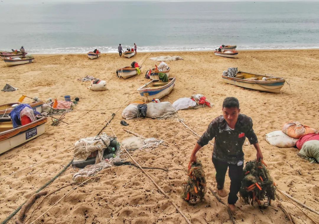 【海南作品专辑】第7期《美丽乡村》 【海南作品专辑】第7期《美丽乡村》