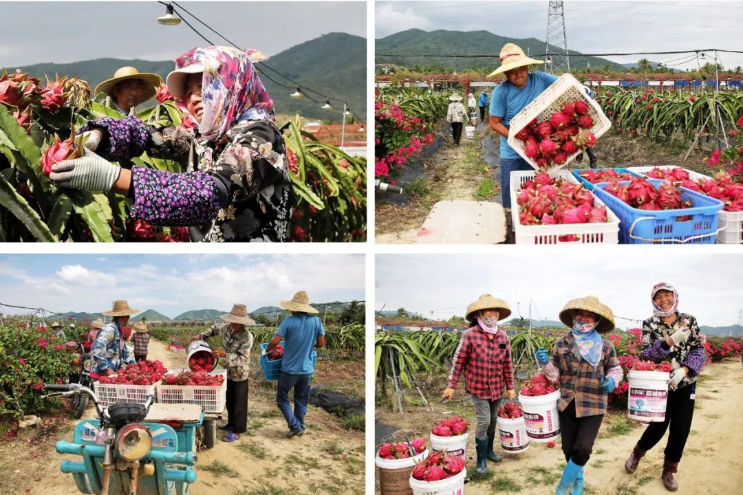 【海南作品专辑】第7期《美丽乡村》 【海南作品专辑】第7期《美丽乡村》