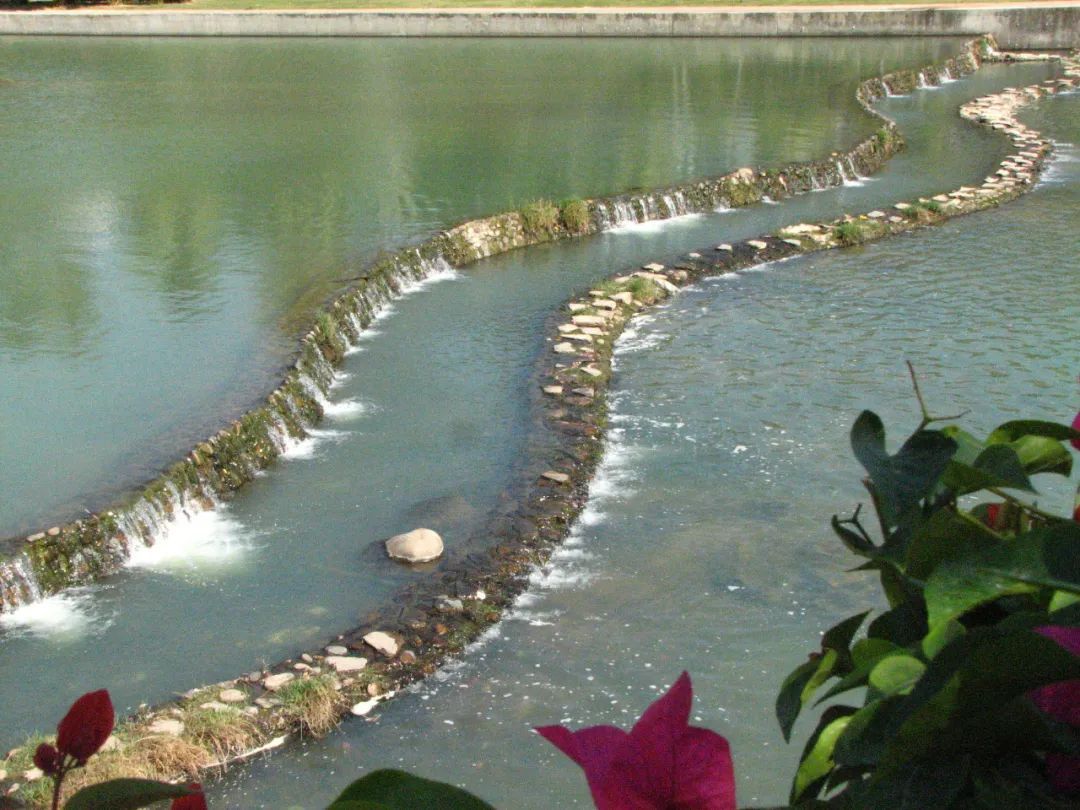 【海南作品专辑】第7期《美丽乡村》 【海南作品专辑】第7期《美丽乡村》