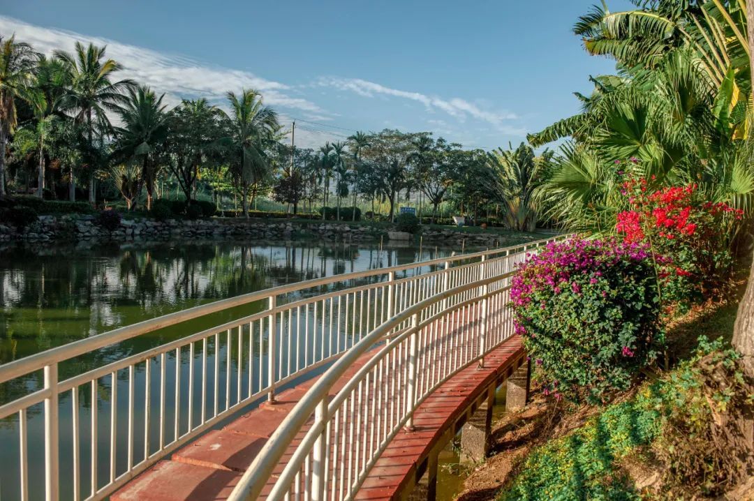 【海南作品专辑】第7期《美丽乡村》 【海南作品专辑】第7期《美丽乡村》