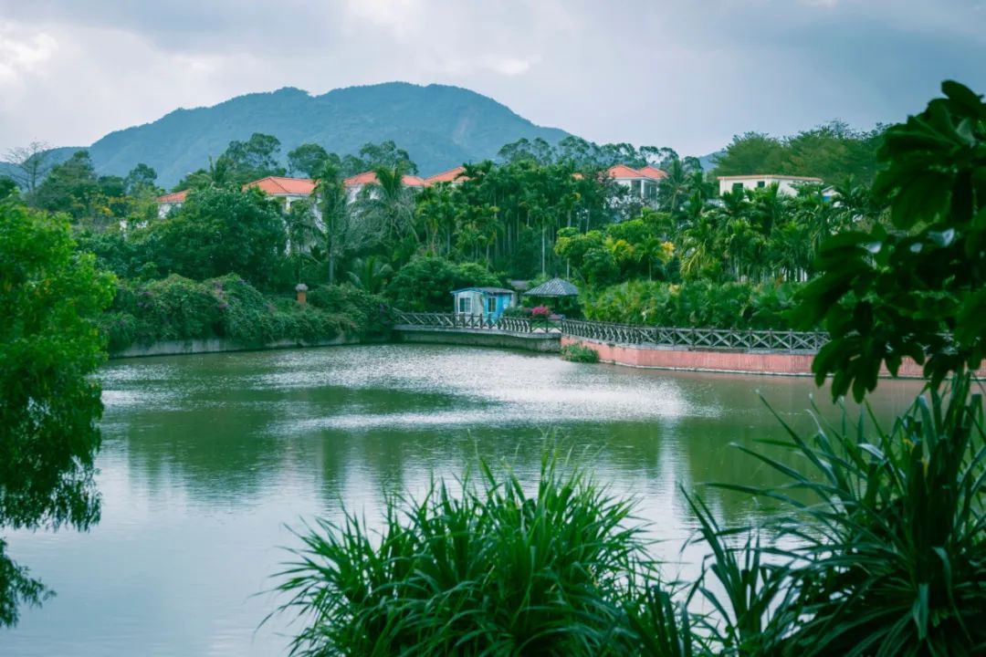 【海南作品专辑】第7期《美丽乡村》 【海南作品专辑】第7期《美丽乡村》