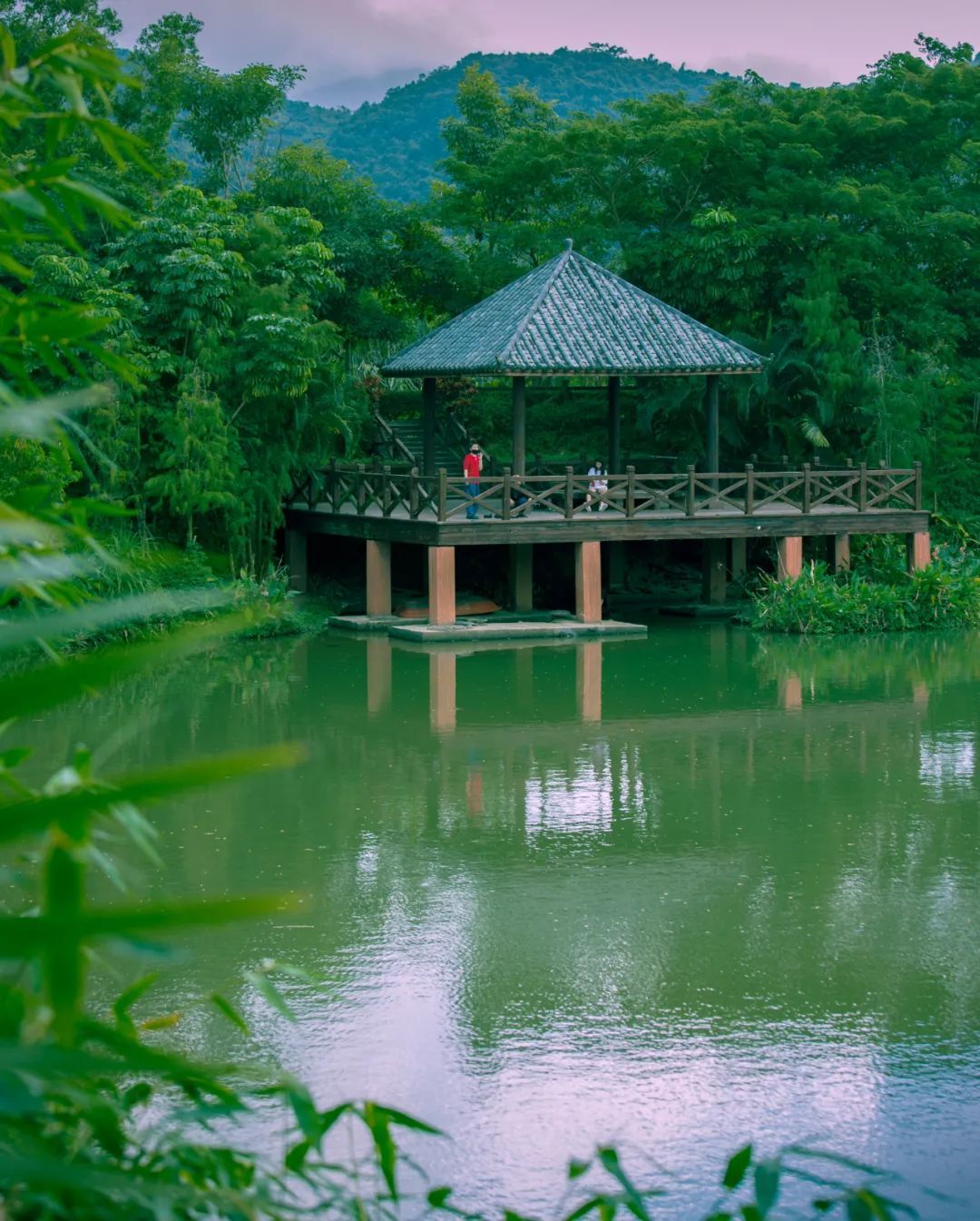 【海南作品专辑】第7期《美丽乡村》 【海南作品专辑】第7期《美丽乡村》