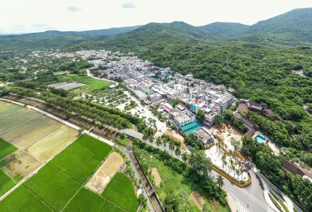 【海南作品专辑】第7期《美丽乡村》 【海南作品专辑】第7期《美丽乡村》