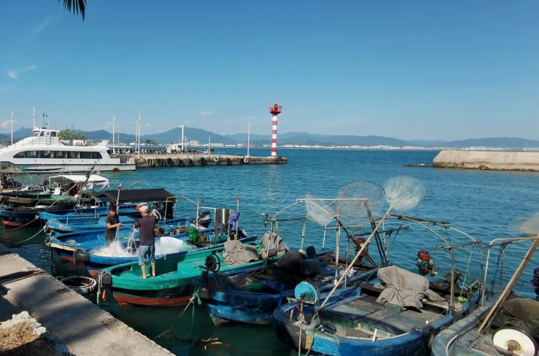 【海南作品专辑】第7期《美丽乡村》 【海南作品专辑】第7期《美丽乡村》