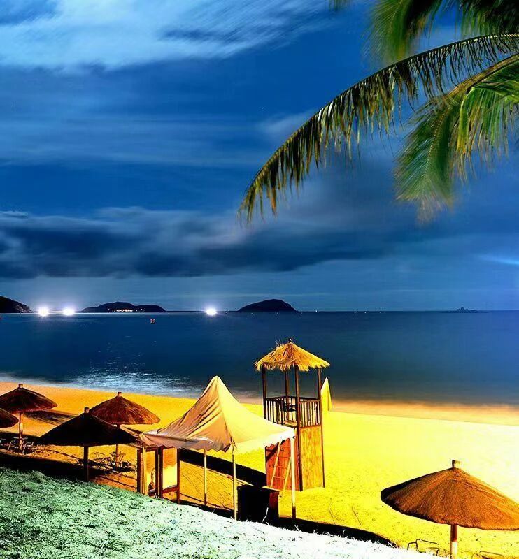 夜色阑珊 夜色阑珊