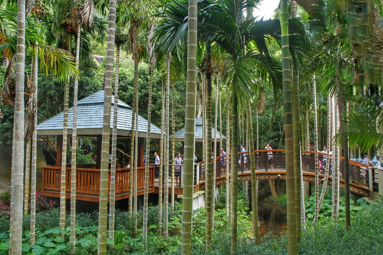 森林公园 森林公园