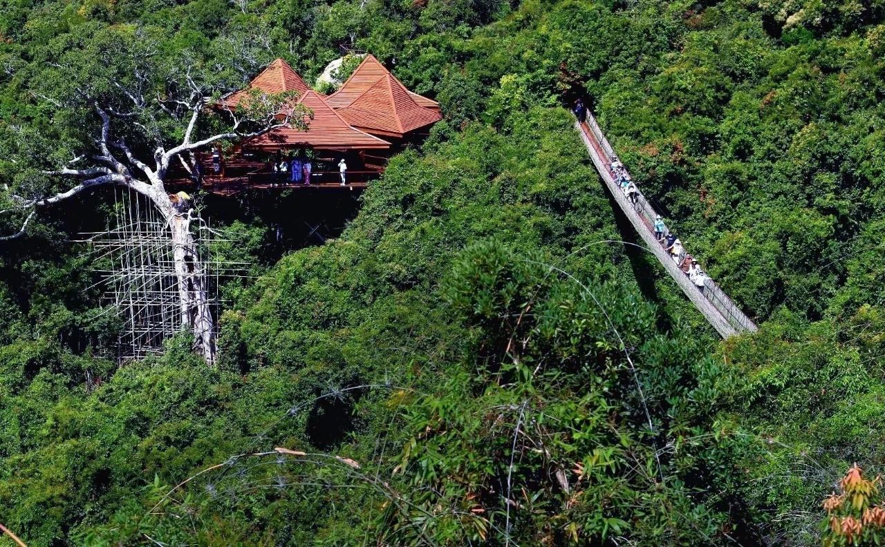 绿海穿越 绿海穿越