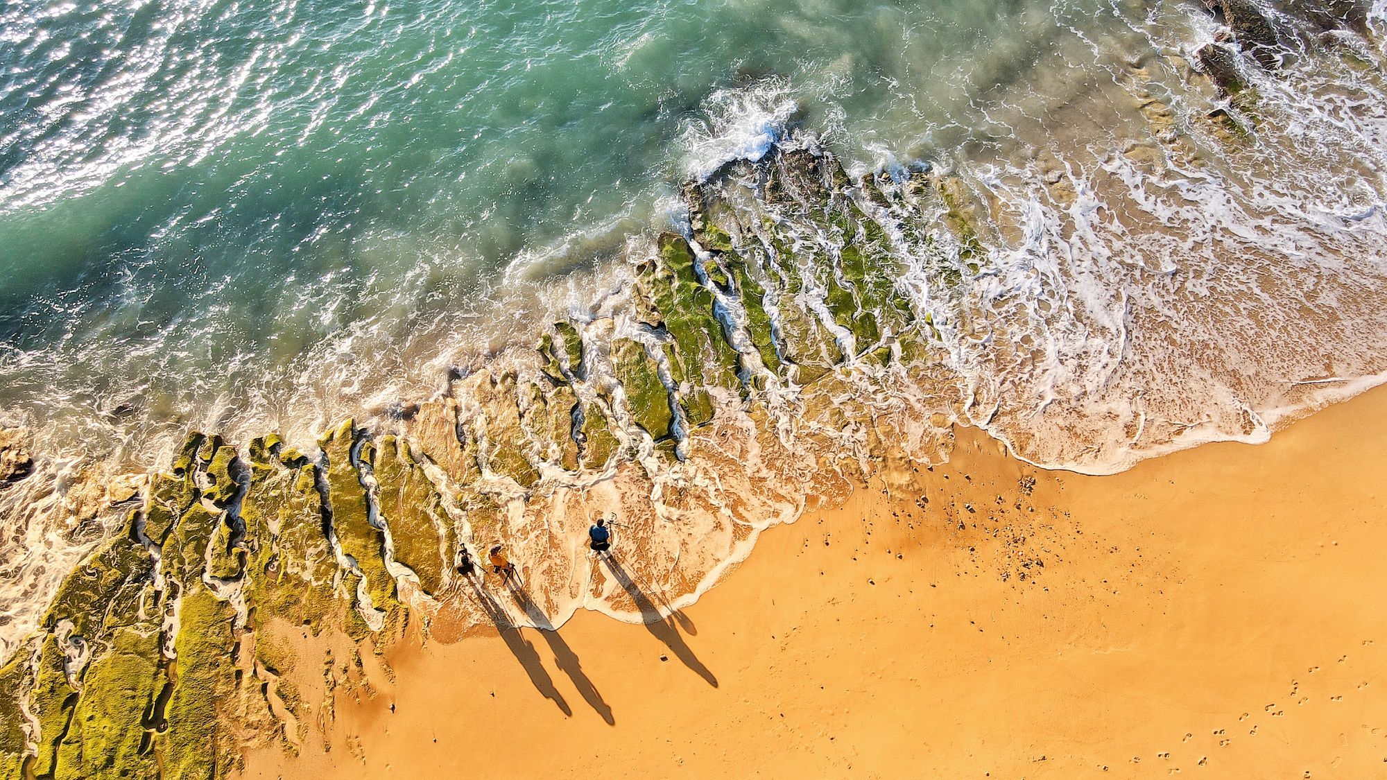 海边人追浪翻 海边人追浪翻