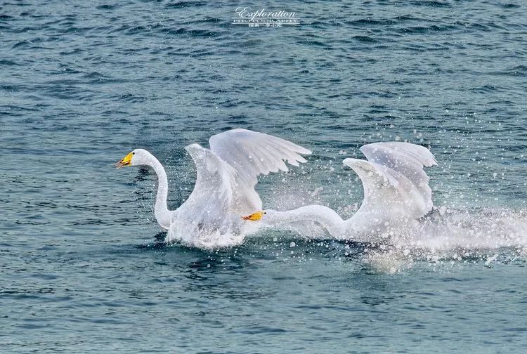 海南摄影作品展示(第六期) 海南摄影作品展示(第六期)