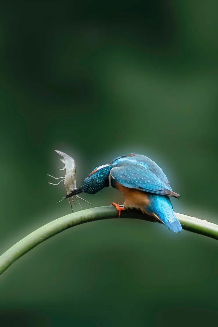 海南摄影作品展示(第六期) 海南摄影作品展示(第六期)
