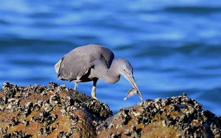 海南摄影作品展示(第六期) 海南摄影作品展示(第六期)