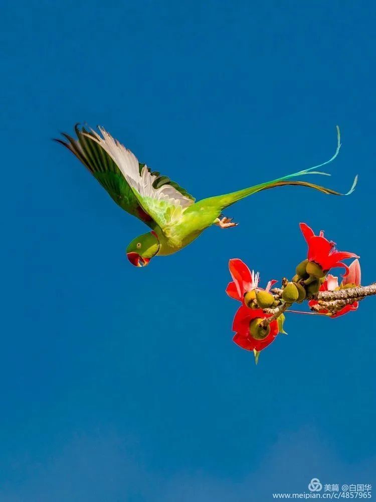 海南摄影作品展示(第六期) 海南摄影作品展示(第六期)