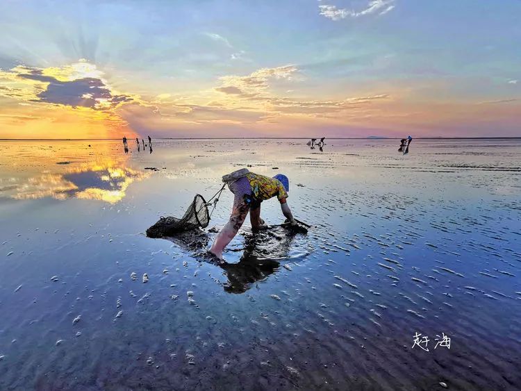 海南摄影作品展示(第六期) 海南摄影作品展示(第六期)