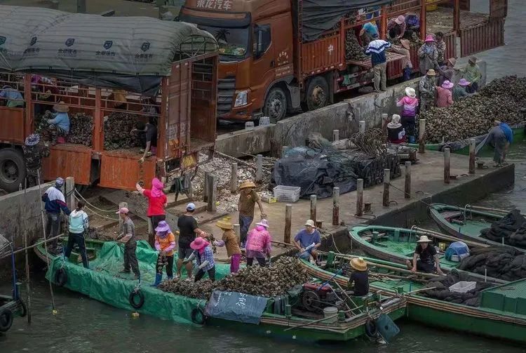 海南摄影作品展示(第六期) 海南摄影作品展示(第六期)