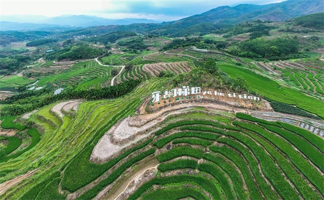 我在五指山牙胡梯田等你来!2023年4月29日完成升级改造与游客见面