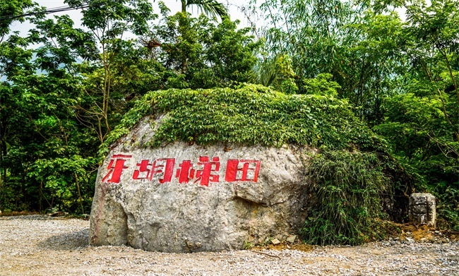 我在五指山牙胡梯田等你来!2023年4月29日完成升级改造与游客见面