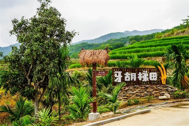 我在五指山牙胡梯田等你来!2023年4月29日完成升级改造与游客见面