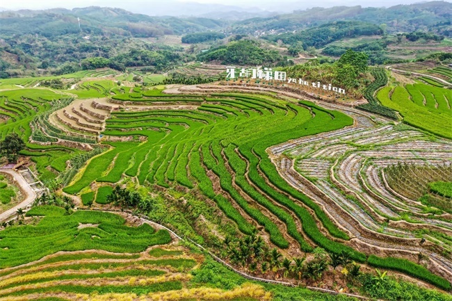 我在五指山牙胡梯田等你来!2023年4月29日完成升级改造与游客见面