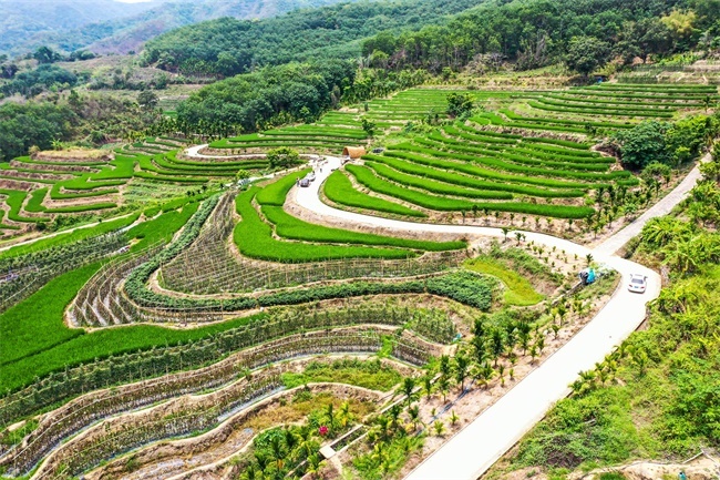 我在五指山牙胡梯田等你来!2023年4月29日完成升级改造与游客见面