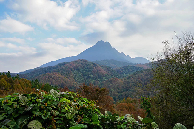 1697330501989936.jpg?x-oss-process=style/web_png_style 1697330501989936.jpg?x-oss-process=style/web_png_style