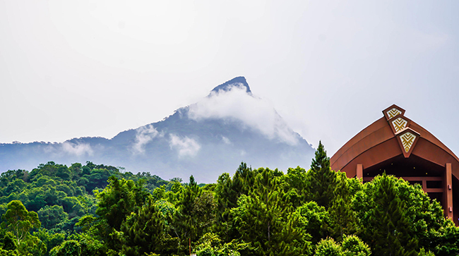 1697330683712781.jpg?x-oss-process=style/web_png_style 1697330683712781.jpg?x-oss-process=style/web_png_style