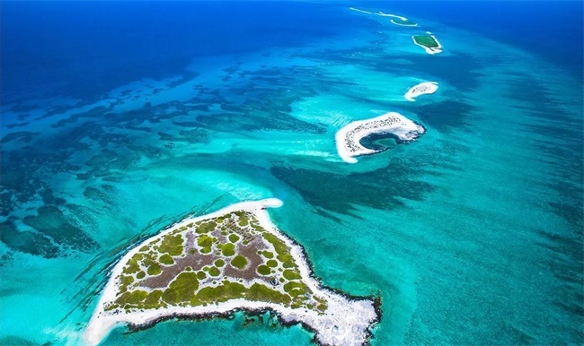 微信图片_20231016102731.jpg?x-oss-process=style/web_png_style