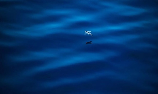 微信图片_20231016102734.jpg?x-oss-process=style/web_png_style