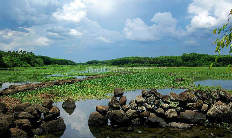 爱克养生谷冷泉