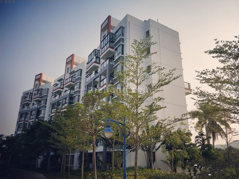 汇丰桃园实景图