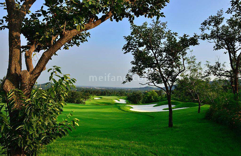 金泰南燕湾配套图:高尔夫球场