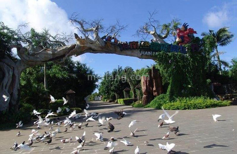 首创森林湖周边配套：海南热带飞禽世界
