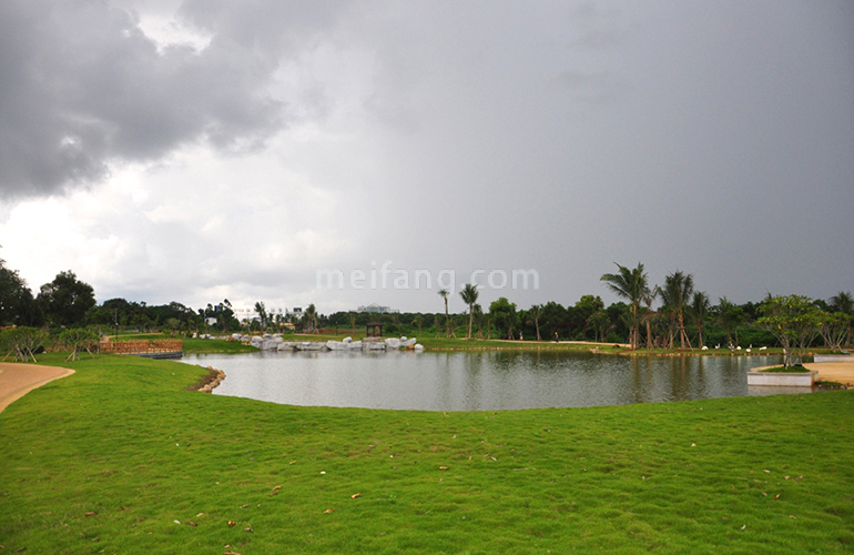 首创森林湖实景图