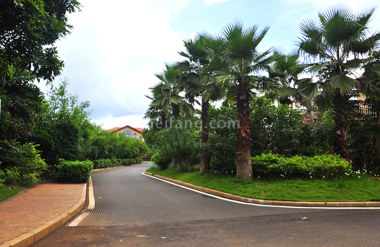 首创森林湖实景图