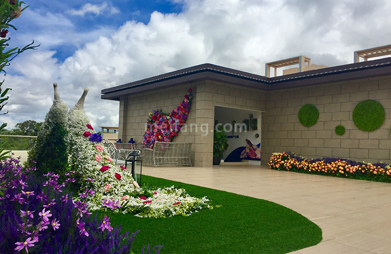 碧桂园十里繁花实景图