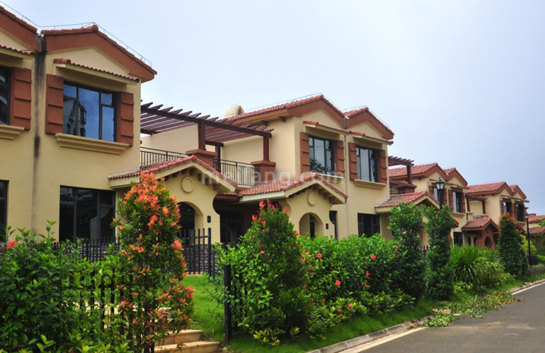 首创森林湖实景图