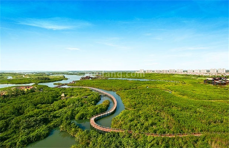 富力红树湾红树林生态公园