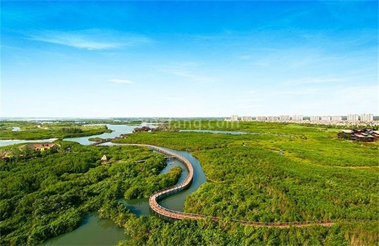 水韵金江 红树林生态公园
