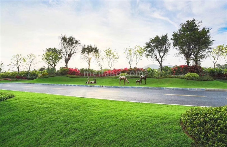 碧桂园海棠盛世实景图