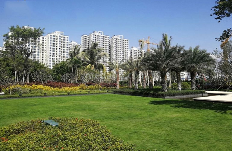 保利崖州湾实景图